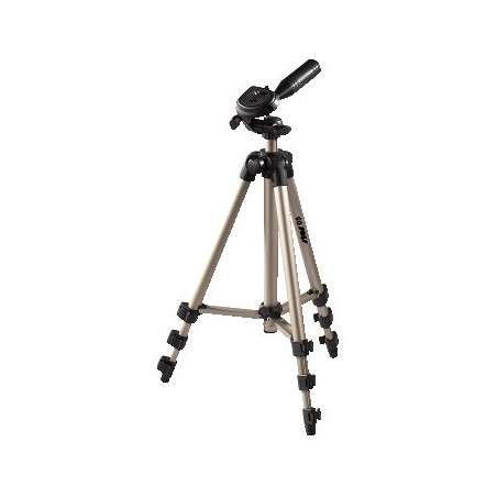 STATYW STAR 05